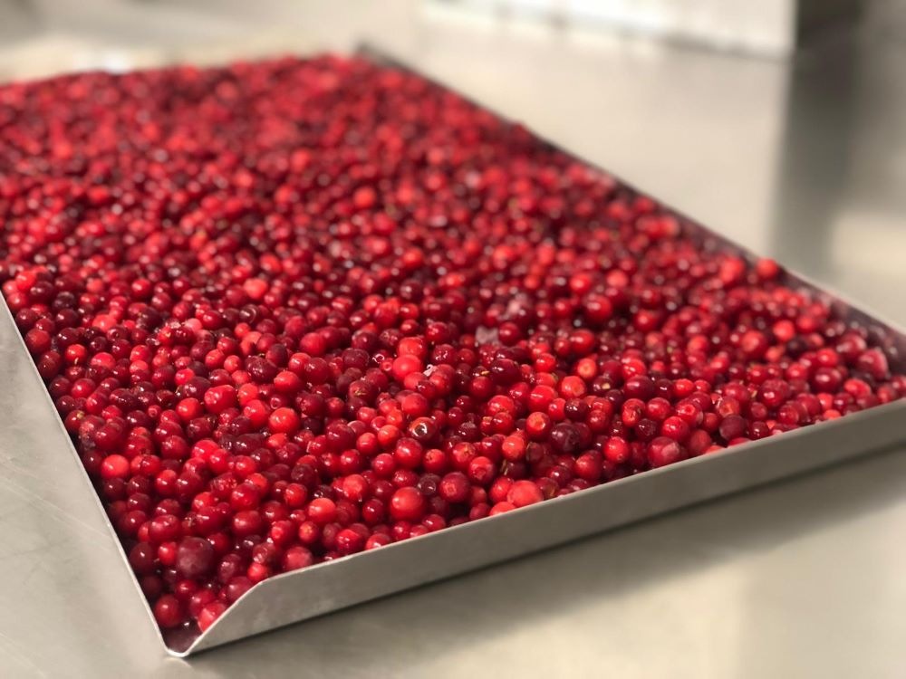 Frische Preiselbeeren 2020