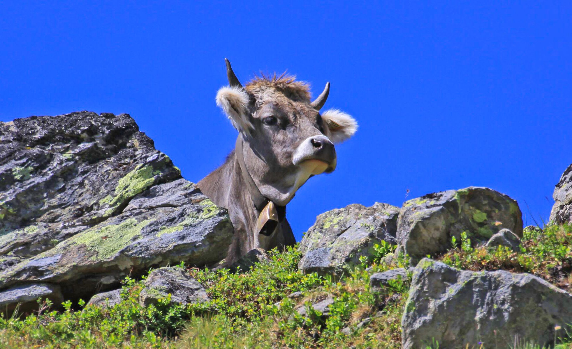 August 2013 Taschachalm Topbilder_preview-trabalhada