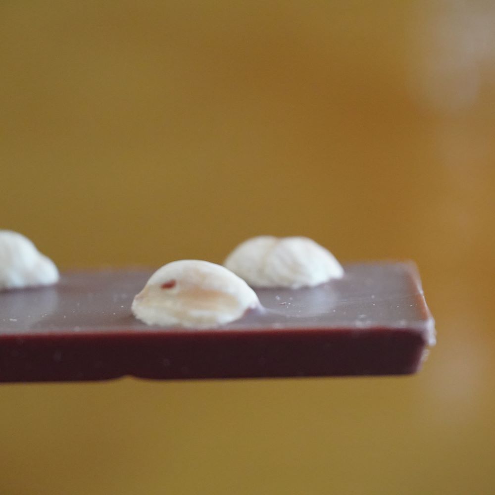 Zeig dich_Haselnuss_DSC01820