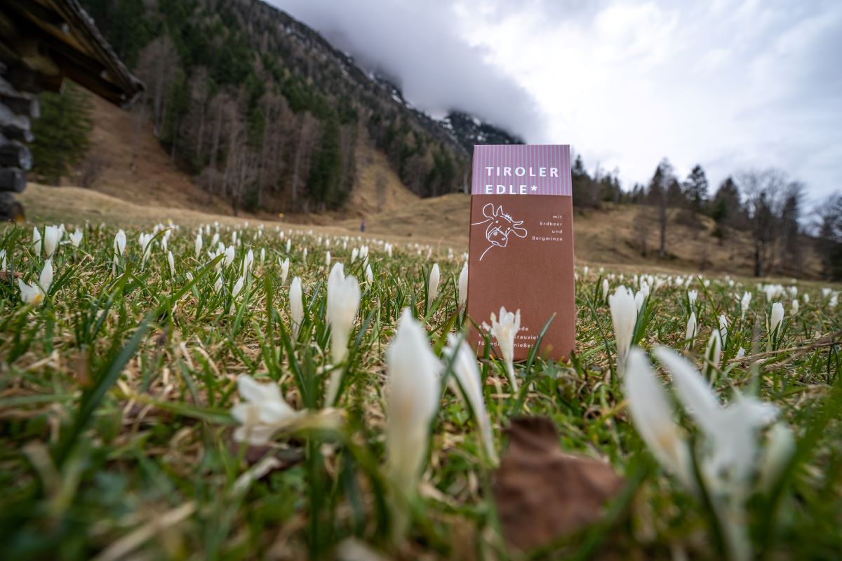 Tiroler Edle mit Erdbeer und Bergminze im Krokusfeld