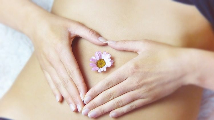 Hände zu einem Herz auf dem Bauch mit einer Blume_Image by Silvia from Pixabay